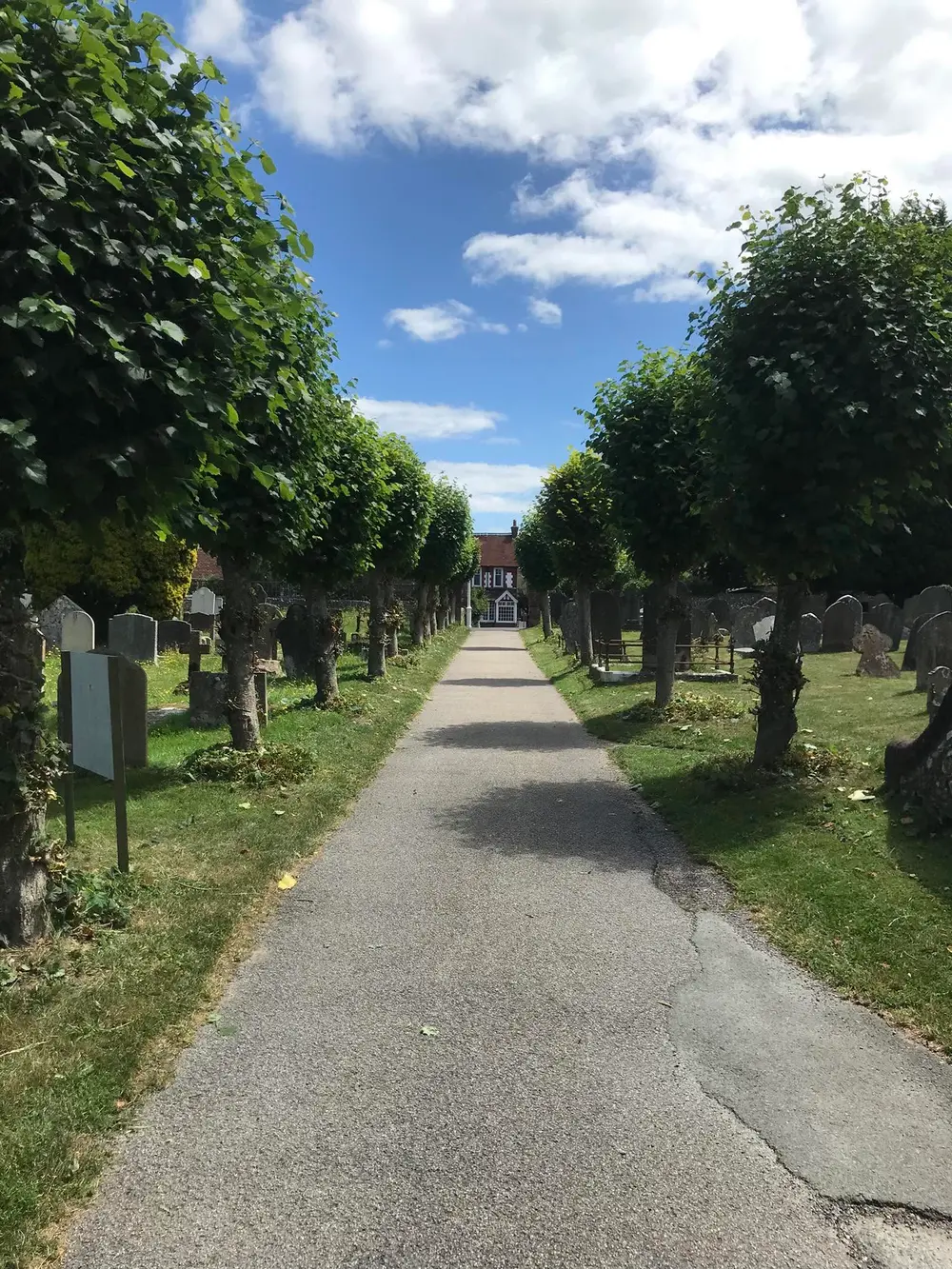 Trimmed hedge-lined pathway in Hassocks after a tidy up by Fred's Gardens